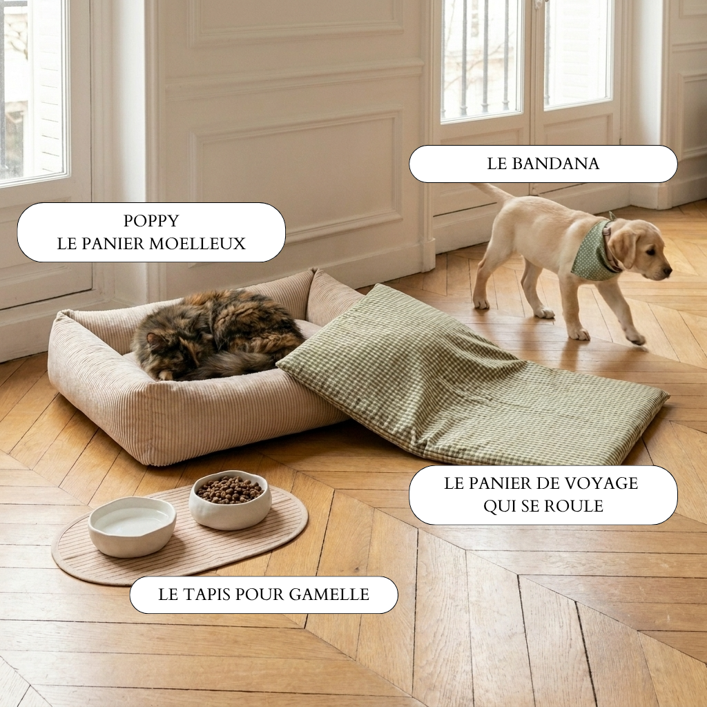 Collection "Mon Compagnon Poilu" - 4 Patrons