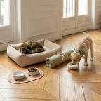 Collection "Mon Compagnon Poilu" - 4 Patrons